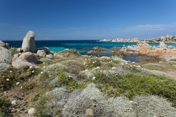Fototapeta na wymiar Îles Lavezzi Corse du Sud