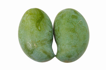 Green mango isolated white background,fruit of Thailand