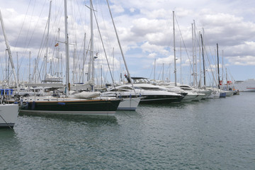Fototapeta premium Palma de Mallorca