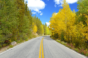 Autumn color - scenic drive with golden aspen