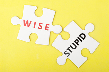 Wise versus stupid concept