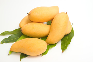 Fresh Ripe Mangoes with green leaves