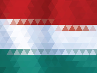 Hungary flag of vector