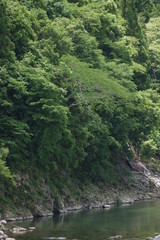 Fototapeta na wymiar 新緑の渓谷 天竜川