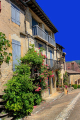Fototapeta na wymiar Une rue de Beynac-et-Cazenac (Dordogne)