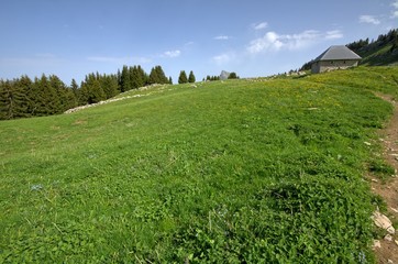Pravouta dans le massif de la Chartreuse