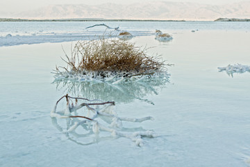 Beautiful coast of the Dead Sea .