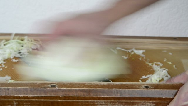 Herstellung von Sauerkraut, hobeln von Spitzkraut
