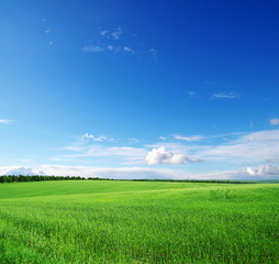 green field