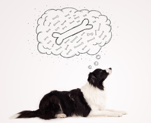 Border collie with thought bubble thinking about a bone