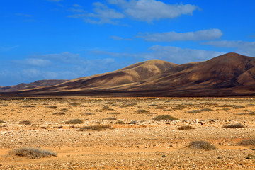 Fuerteventura