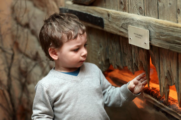 Boy at zoo