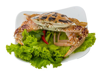 Raw red crab