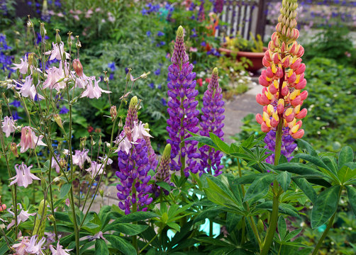 Bauerngarten im Engadin