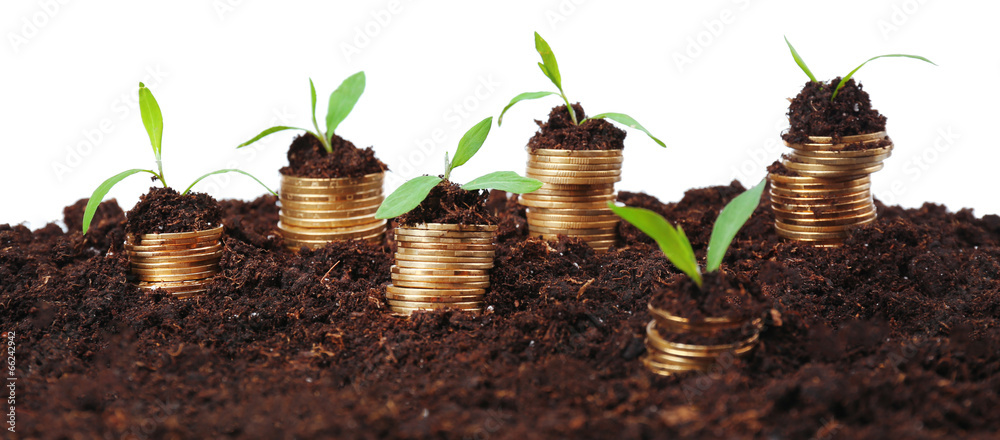 Poster Business concept: golden coins in soil with young plants,