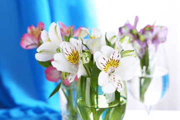 Freesias in glasses on table on fabric background