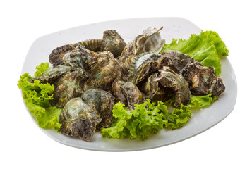 Oyster