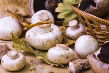 Mushrooms and autumn leaves