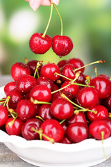 Ripe sweet cherries, outdoors