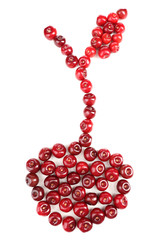Sweet cherries in shape of berry, isolated on white