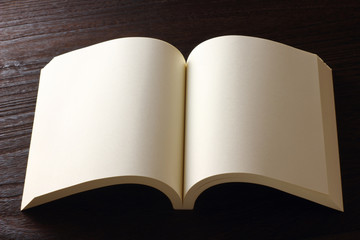 blank open book on the table