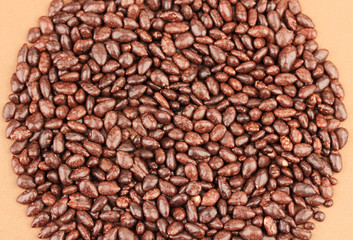 Sunflower grains in chocolate, on brown background