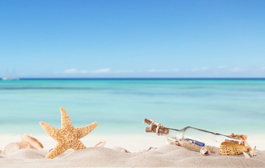 Fototapeta na wymiar Summer beach with strafish and shells