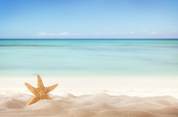 Summer beach with starfish - Powered by Adobe