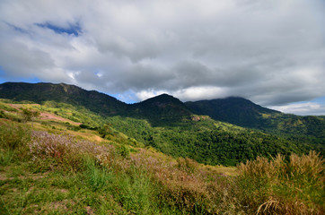 Fototapeta premium Road on the Mountain