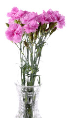 Naklejka na ściany i meble Beautiful summer flowers in vase, isolated on white