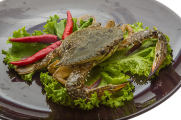 Raw crab