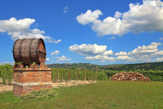 Wine Barrel And Vineyards In Piedmont, Italy.