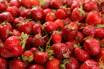 Ripe sweet strawberries close-up