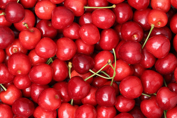 Rote reife Kirschen bilden einen Hintergrund