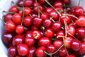 sweet cherry
