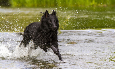 Groenendael im Wasser