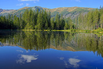 Reflection on Smreczynski lake in Koscieliska Valley, Tatras