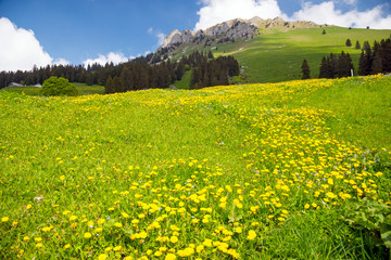 Greyerzerland