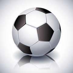 Fototapeta premium Soccer ball