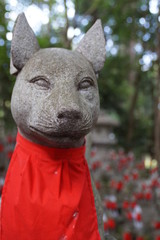 Obraz premium 豊川稲荷 奥の院 お稲荷様