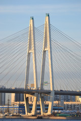 Cable-Stayed Bridge in St.Petersburg