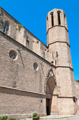 Monastery of Pedralbes Barcelona - Spain