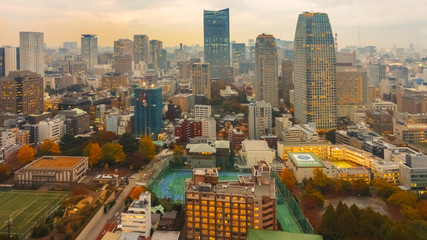 Fototapeta premium Tokyo City