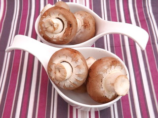braune champignions