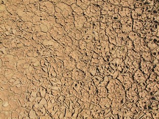 Dry ground of cracked dusty clay with deep marks