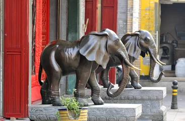 Foto op Plexiglas Indian elephants © Savvapanf Photo ©