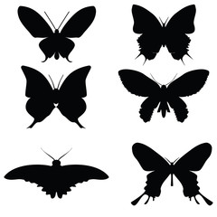 Colored icons butterflies on a white. Raster