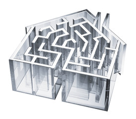 Clear Plastic Maze Shaped Like A House