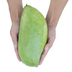 big green mango on white background