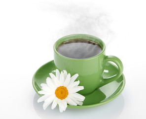 fresh tea camomile flowers